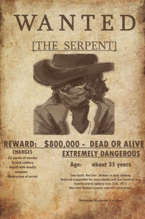 The Poster